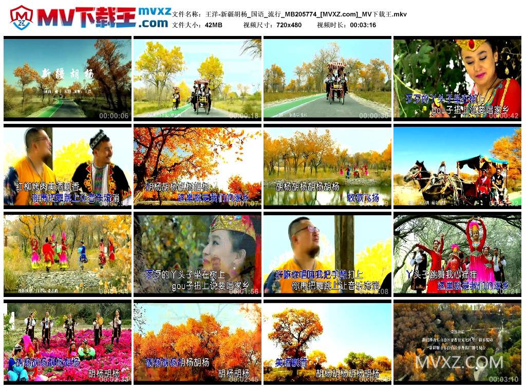 王洋-新疆胡杨_国语_流行_MB205774